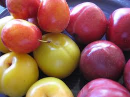 You can search by many different resolutions, like horizontal, so and vertical for mobile phone. Edible Garden Beauty A Plum Deal Per Joy
