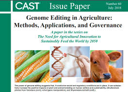 Nuevo Documento En Ingles En El Que Se Explican Las Claves De La Mejora Genetica En Agricultura Fundacion Antama Ten cuidado y no te pinches al tocar esta planta. nuevo documento en ingles en el que