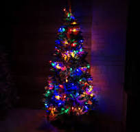 12m 120 LED Multi Function Large Bulb Outdoor Christmas ...
