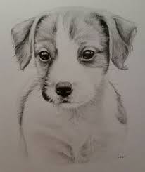 The nubian ibex, a relative to the goat, lives in the mountainous desert areas. Realistic Animal Drawing Easy Novocom Top