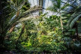 The gardens are a lush green haven in the. Palmengarten In Frankfurt Am Main Geo