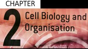 The essential elements in human body: Chapter 2 Biology Form 4 Kssm Cell Biology And Organisation Youtube