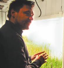 Grain drying turned upside down