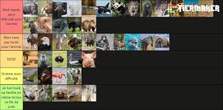 . attendant le jour où je pourrais vraiment considérer . les afflictions comme un défi et comme une bénédiction. Lan On Twitter Je Pourrais Fumer Tous Les Animaux De La Liste Sans Rigoler Je Pratique La Mma Depuis Maintenant 6 Ans De La Boxe En Parallele Depuis 7 Ans Je Pourrai