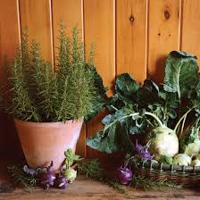 It can be eaten raw or cooked. How To Grow And Cook Kohlrabi And Rosemary Mother Earth News