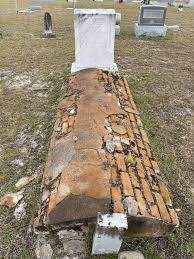 Georgia Ann Elizabeth Shuman Proctor (1840-1920)