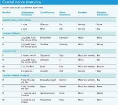 Cranial Nerve Assessment: A Practical Approach