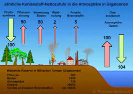 Das gas kohlenstoffdioxid oder auch kohlendioxid dient als ausgangsstoff der pflanzlichen fotosynthese und ist endprodukt des stoffwechsels tierischer organismen. Kohlenstoffdioxid