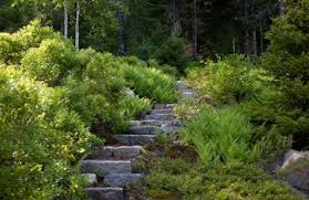 Slope Landscape Ideas W Names Of Plants Sweet Fern Must Find Sloped Garden Landscaping With Rocks Landscaping On A Hill
