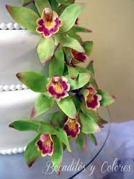 Green Cymbidium Orchid With Video Tutorial Orchids Cymbidium Orchids Porcelain Flowers