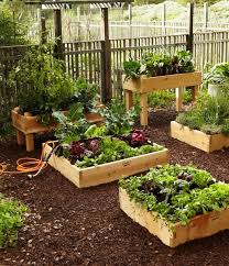 bac pour le jardinage jardin en carre jardin facile jardinage