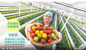 雲谷農場yun valley farm 番茄方舟郭能禎7000平方公尺 7分地 18 000株 28 000個頭數 5000萬元 100噸 500元 公斤 fruit food apple