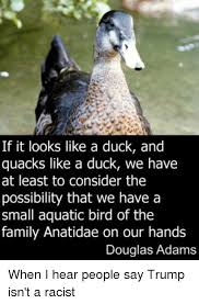 25 Best Memes About If It Looks Like A Duck If It Looks Like A Duck Memes