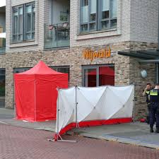 Afbeeldingsresultaat voor dineke van es verwoeste steden