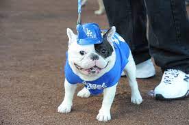 Pups At The Park Dodger Dog Dodgers Baseball Dodgers