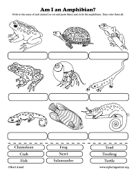 Learn About Animals And Classification On Exploringnature Org Reptile Unit Study Amphibians Reptiles