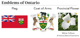 Ontario is one of canada's provinces, and has established several provincial symbols. Ontario The Canadian Encyclopedia