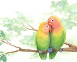 Learning To Watercolor Watercolor Bird Love Birds Drawing Love Birds Painting