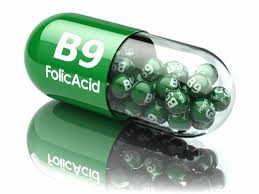 Image result for Serum Folate