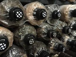 Transformasi lil' kim tersebut membuat perdebatan di kalangan kemudian, pada usia 14 tahun, lil' kim minggat dari rumah dan hidup bersama bandar narkoba. Cendawan Com Kulat Hitam Bagi Yang Mengusahakan Facebook