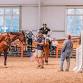Boyd Martin Clinic event in Upper Marlboro, MD