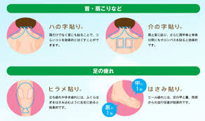 マイナビニュース