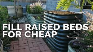 Add a hammock, a few billowing trees and a bed of flowering plants to complete this tropical paradise. How To Fill A Raised Bed And Save 60 On Soil Costs Youtube