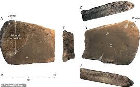 I would take a definite pass on ever eating the spaghetti again though. Remains Of A 2 000 Year Old Bogong Moth Is First Evidence Early Humans Used Tools To Eat Bugs Australiannewsreview