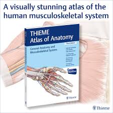 General anatomy and musculoskeletal system (thieme atlas of anatomy). Facebook