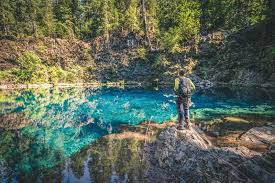 We did not find results for: Your Guide To Hiking The Mckenzie River Trail Oregon Is For Adventure