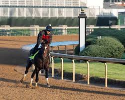 He has raced only once in 2021 and was up the track in the wood memorial. The Field For The 2021 Kentucky Derby Slideshow Bloodhorse