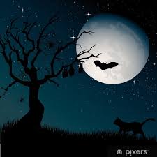 5 dessins faciles à faire. Poster Nuit De Pleine Lune Sinistre Avec Des Silhouettes De L Arbre Le Chat Et Les Chauves Souris Pixers Nous Vivons Pour Changer