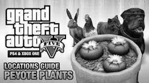 You can spawn those in. Gta V Ps4 Xbox Pc Unlock All Animals In Director Mode Youtube