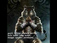  26 Ide Macan Putih Di 2021 Binatang Buas Binatang Kucing Besar