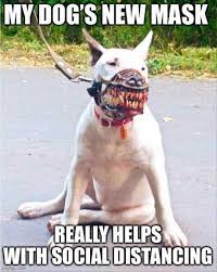 Waifu is looking for fighting material clan recruitment. Top 26 Funny Animal Meme Pictures Of The Day