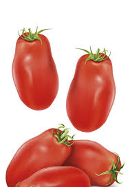 Image result for tomato San Marzano