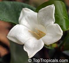 City of bellflower launches redistricting process with first public hearing scheduled for april 26. Pin On Linen House Concept