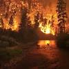 Mapping canadian wildland fire interface areas. 1