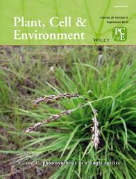 Image result for Alloteropsis semialata