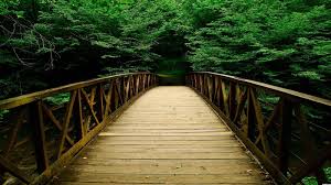 Background Images Hd Nature For Editing Largest Wallpaper Portal Download beautiful vivid and icy pics from our gallery and experience a relaxing feeling every time you look at your screen. background images hd nature for editing