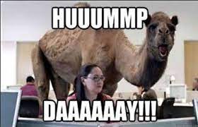 10.12.2020 · geico hump day commercial with a camel trends as people go through wednesday. Pin On Best Online Video Ads