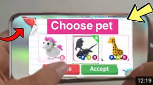 You can adopt pets in roblox's adopt me and you can update these pets too. How To Get Free Pets In Adopt Me