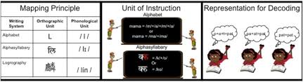 A spelling alphabet is a set of words used to stand for the letters of an alphabet in oral communication. Using Artificial Orthographies For Studying Cross Linguistic Differences In The Cognitive And Neural Profiles Of Reading Sciencedirect