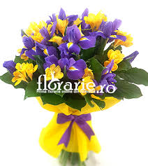 I highly recommend floare de iris, it has exceeded our expectations and will definitely come back again. Irisi Si Frezii Florarie Ro