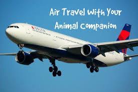Can you ship a dog on a plane. Air Travel With Your Animal Companion Peta