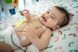 Manuela Reed's Instagram, Twitter & Facebook