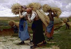 En agriculture par exemple, une terre fertile vous retournera toujours le résultat de votre travail. La Terre Elle Ne Ment Pas Institut Des Libertes