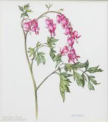 Bleeding Hearts Digital Flowers Flowers Floral