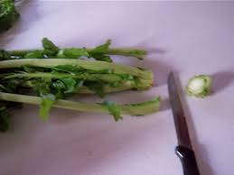Check spelling or type a new query. Come Pulire Le Cime Di Rapa Scuola Di Cucina Con Foto