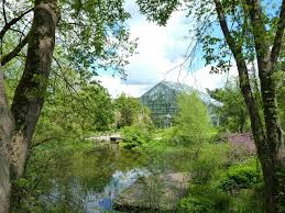 Deshalb dürfen inzwischen auch wieder botanische gärten ihre tore öffnen. Botanischer Garten Der Universitat Osnabruck Startseite Facebook